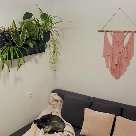 Goscinne Iwa Séjour chez l'habitant